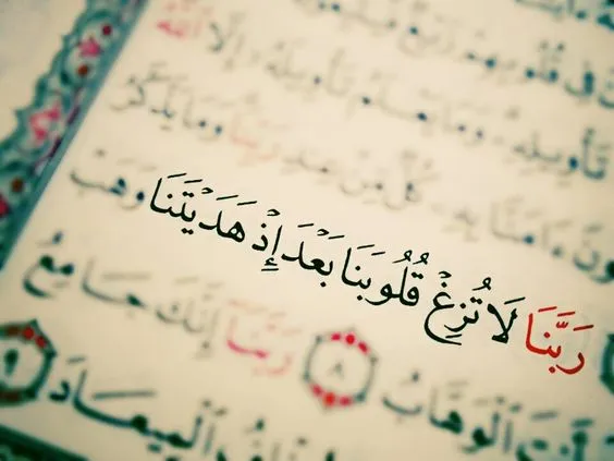 صور أيات من كتاب الله الكريم بها موعظة وحكمة صور أيات من كتاب الله الكريم بها موعظة وحكمة